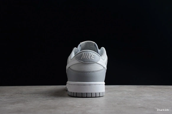DJ6188-001 Low Two Dunk Tone Grey NNike 0124